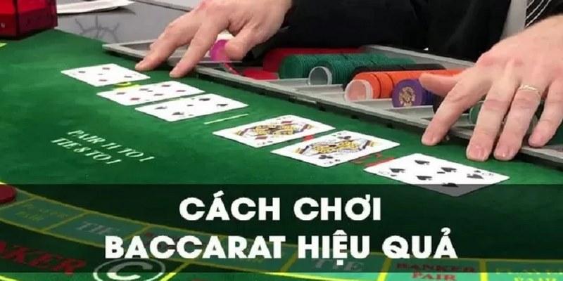 Khám phá thế giới video bong đa hấp dẫn với những video bong đa đặc sắc nhất